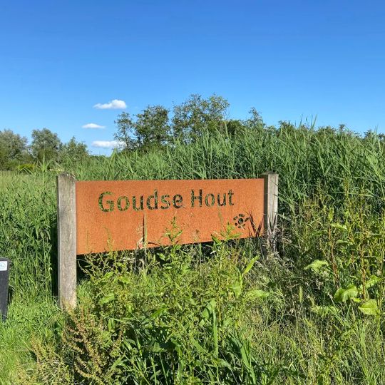 Goudse Hout