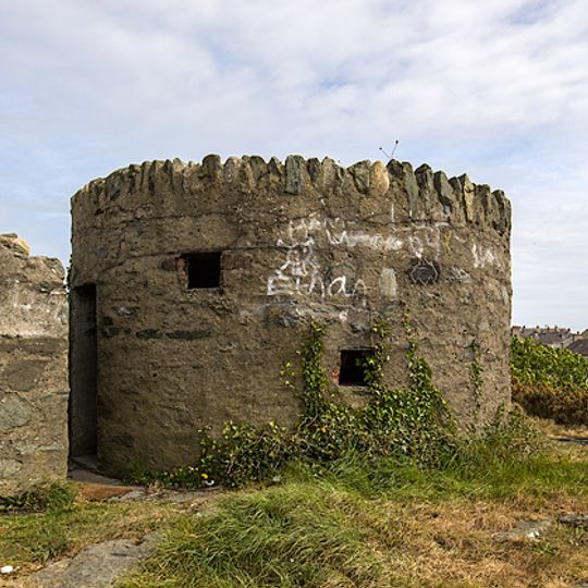 Pillbox Near Skinner's Monument, Turkey Shore Road