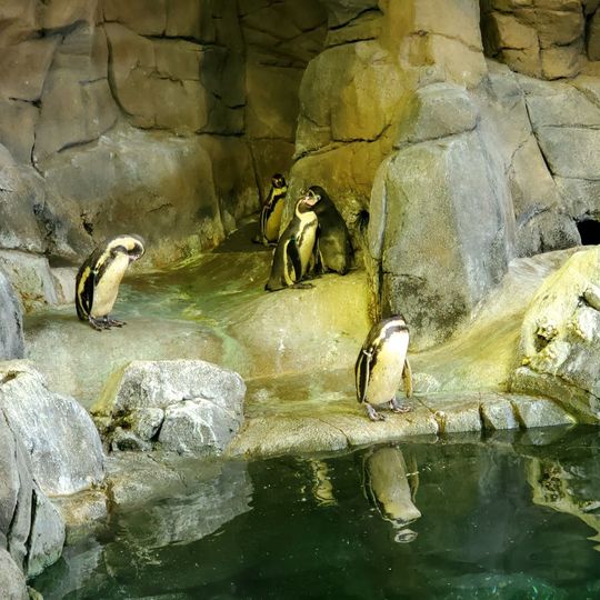 Kansas City Zoo and Aquarium
