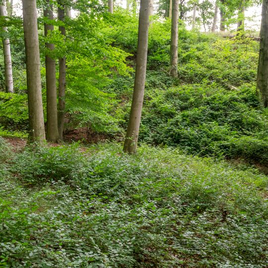 LSG-Bachtal noerdlich Bremke