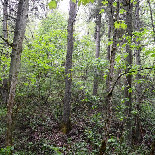 Darbutų II piliakalnis