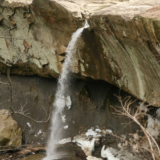 Williamsport Falls