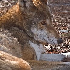 St. Vincent National Wildlife Refuge