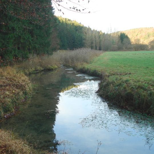 Bachmühlbachquellen bei Bachmühle