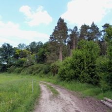 Wacholderheide am Bläslesberg