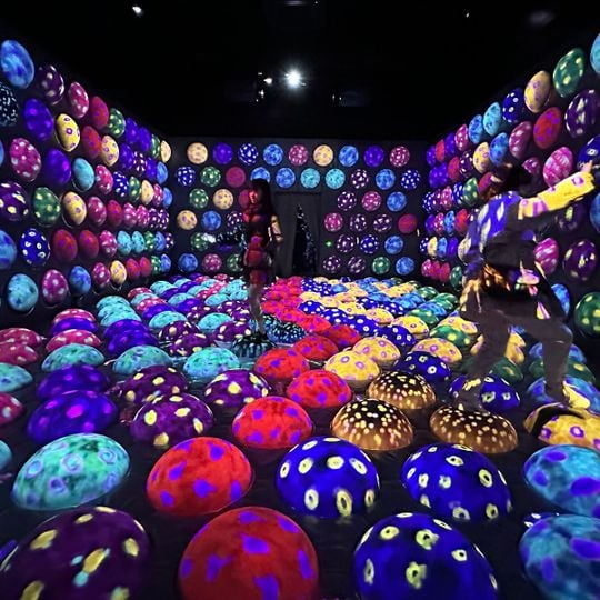 TeamLab Forest Fukuoka