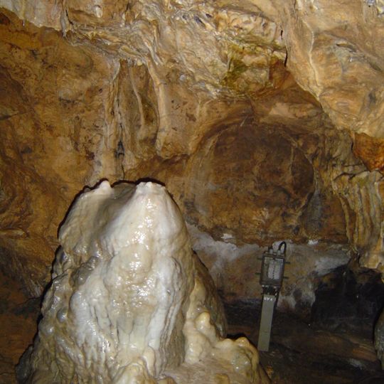 Sontheimer Höhle mit Rotbuche am Höhleneingang