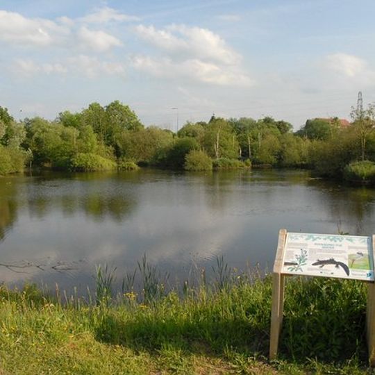Rixton Clay Pits
