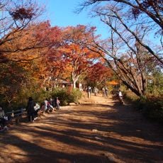 Mount Takao