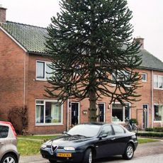 Kerkweg 18,  8355BL  Giethoorn