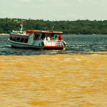 Der Amazonas: wo Wasser, Regenwald und Tierwelt eine unendliche Grenze bilden