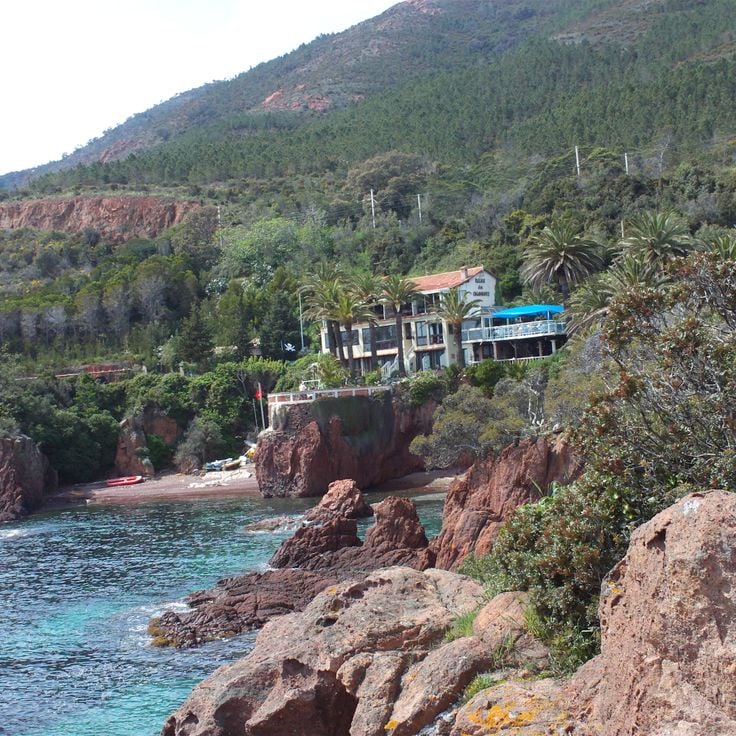 Foresta Domaniale dell'Esterel