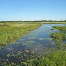 Ханкайський заповідник