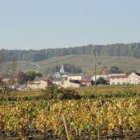 Le Mesnil-sur-Oger