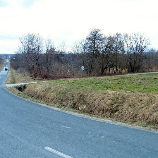'Bakonygyepesi Zergebogláros' Nature Reserve