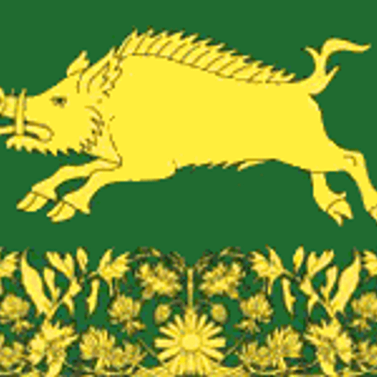 Nurminskoye rural settlement