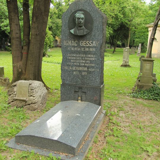 Ondrejský cintorín, hrob s náhrobníkom