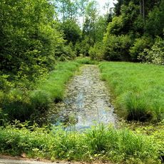 Toteiskessel Waldweiher NW von Wiesenzart