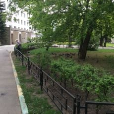 Scientific and Practical Psychoneurological Center named after Z. P. Solovyov