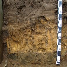 Schwarzerdeprofil Asel