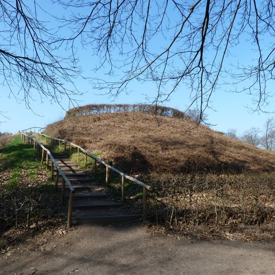 Terrein waarin twee kasteelbergen