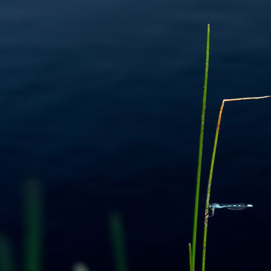 Oberes Treenetal und Umgebung