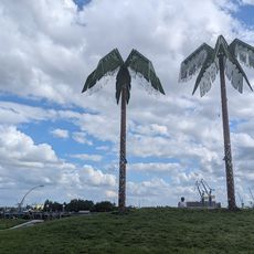 Palme