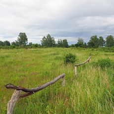 Gohrischheide und Elbniederterrasse Zeithain