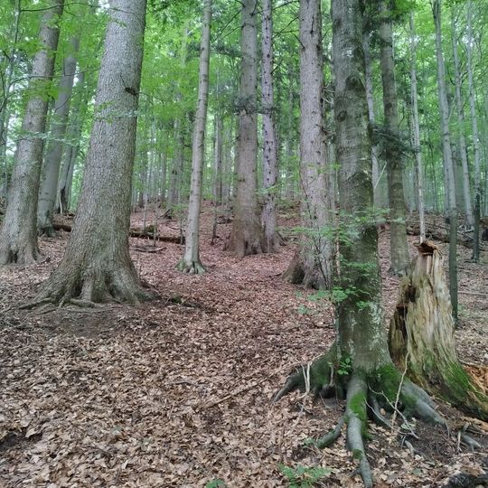 Rezerwat przyrody Uhryń