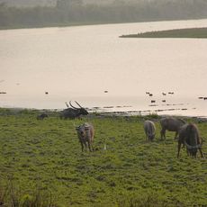 Indravati National Park
