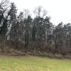 Burgstelle Schlossbuck