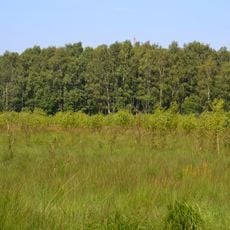 Buttermoor/Butterbargsmoor