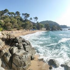 Treumal