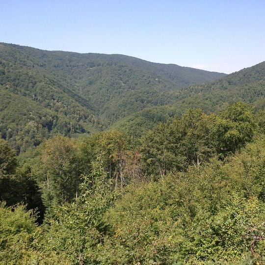 Regione di Požega e della Slavonia