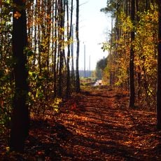 Źródła Olechówki – park in Łódź