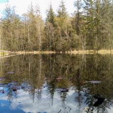 Moorweiher im Staatsforst Drelsdorf