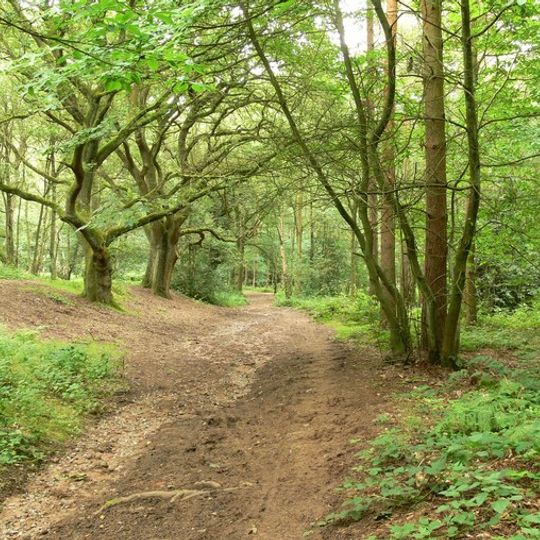 Kingsford Country Park