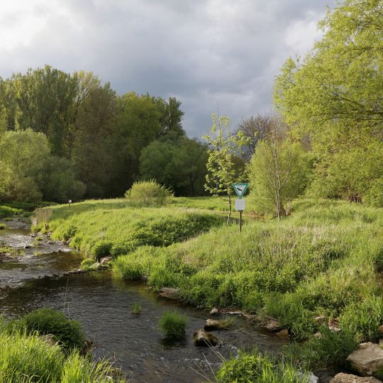 Tauberinsel Igersheim mit Uferstreifen Untere Rohrwiesen