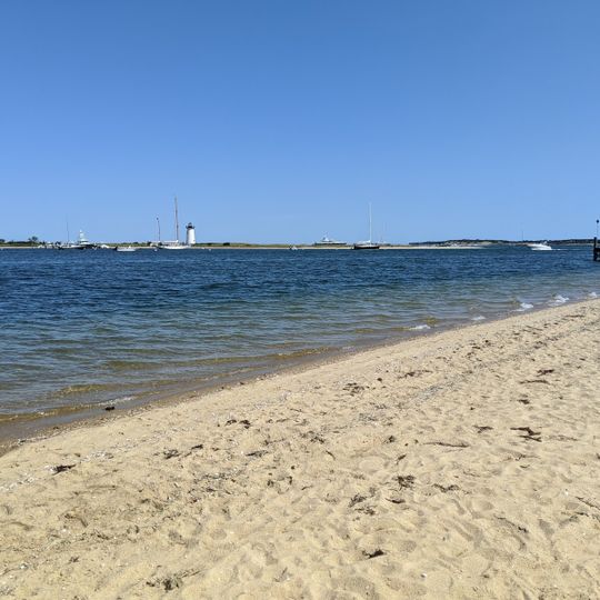 Chappaquiddick Beach
