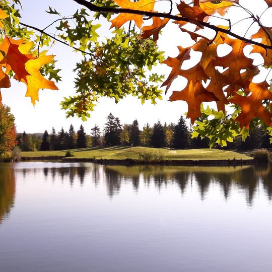 Le Golf Parc Robert Hersant