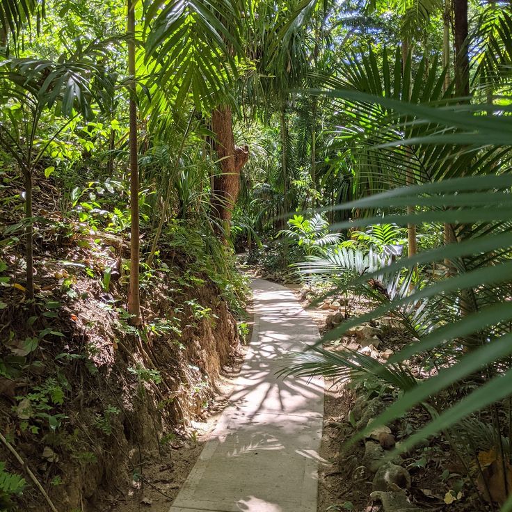 Carambola Botanical Gardens