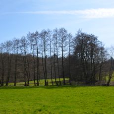Erlensumpf im Gerloh bei Idstein
