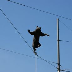 Balancing bear