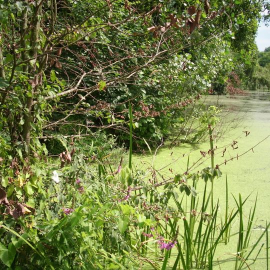 Castle park in Żmigród
