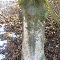 Podstavec ulomeného kříže na rozcestí ulic Pod Vrchem a U Křížku v Bynově