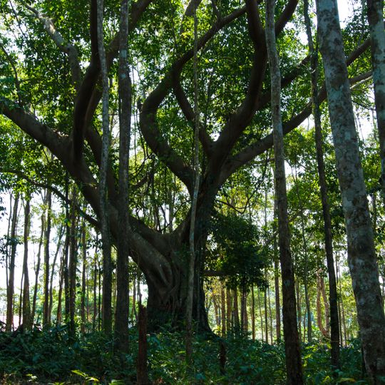 Khao Chamao – Khao Wong National Park