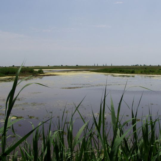 Neusiedler See-Seewinkel National Park