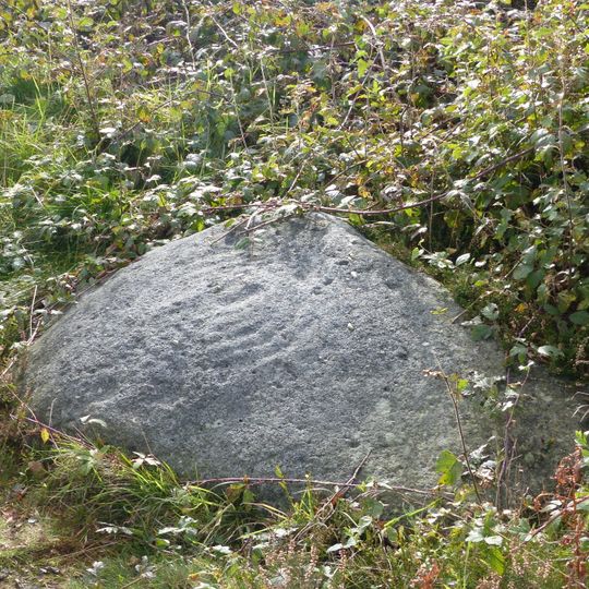 Cup and ring marked rock known as the Knotties Stone on Otley Chevin, 270m north east of The Royalty public house