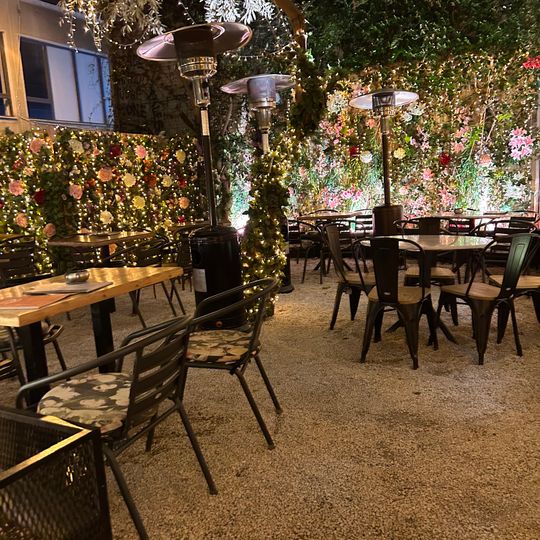 MS Roof Garden