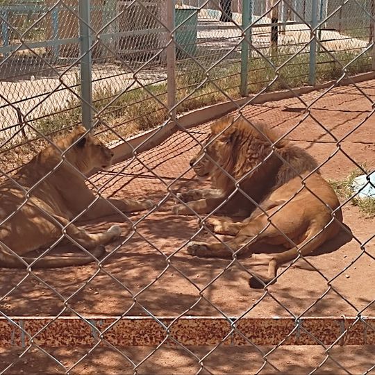 حديقة الحيوانات